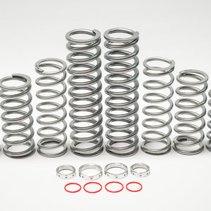 2024 RZR XP 1000 Shock Therapy Dual Rate Spring Kit