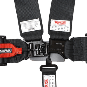 Simpson D3 5-Point Harness