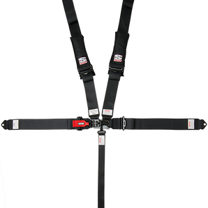 Simpson D3 5-Point Harness